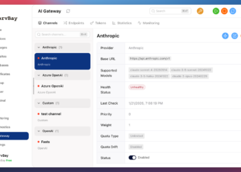 正在升级我的项目，增加一个一站式 AI API 的功能
