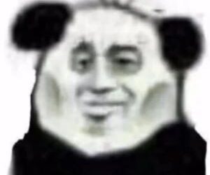 程序员转行为什么这么难_建议程序员转行大模型试试