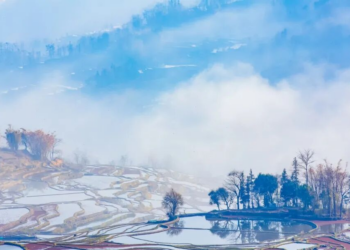 9天春节假，聪明酒店人已靠这招满房溢价