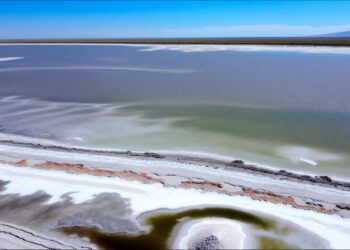 锂价翻倍，锂企溢价囤矿 | 行业风向标