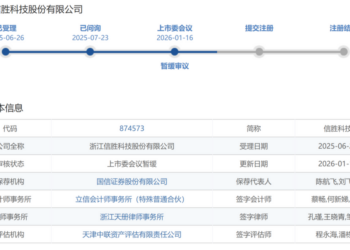 年内首现IPO暂缓审议,券商背景高管在列,暂缓所为何因?