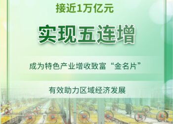 五连增！我国地理标志产品直接年产值接近1万亿元
