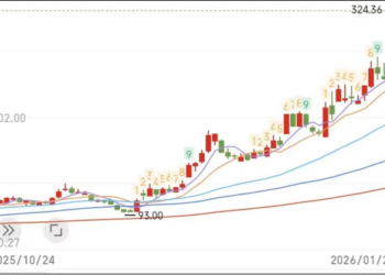 涨声震天，马斯克力挺的「太空光伏」，到底虚实几分？