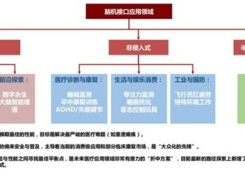 关于「脑机接口」，投资者究竟在炒什么？
