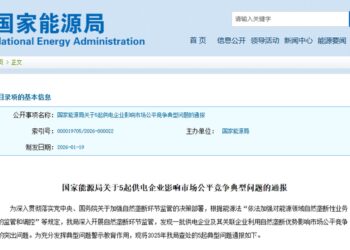 国家能源局五起违规的背后,电网「裁判员」下场当「运动员」