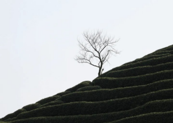 AI来了，大厂为什么留不住高管？ | 巴伦精选