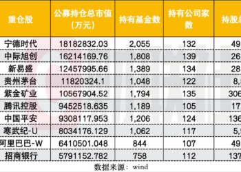 重仓榜首之争：宁德仍居全市场榜首，中际旭创成主动基金第一持仓