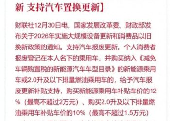 2026年汽车国补，黄牛天塌了，油车受益，16万级别车市将成竞技场