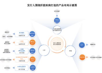 再闯科创板，半年净亏超千万元，新通药物的「肝病治疗图景」究竟够看吗？