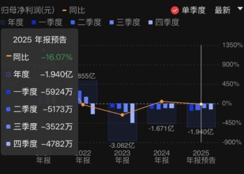 东芯股份预计2025年亏损扩大：存储板块实现盈利 上海砺算投资亏损约1.66亿