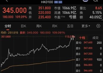 大模型IPO走向分野