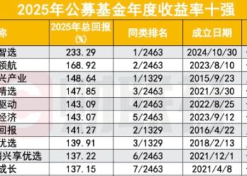 2025公募业绩放榜！233% 冠军基创造历史，主动权益包揽前十，中小基金公司崛起