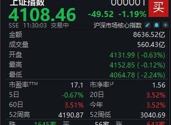 大小股指分化,沪指半日收跌1.19%
