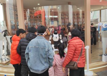 这个年「智」感十足——当传统新春邂逅前沿科技