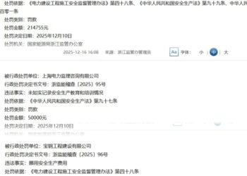 中国能建江苏电建一公司、宝钢工程等因安全违规被处罚，电力安全「救命钱」去哪了？