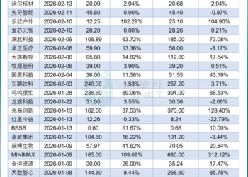 港股开年新股的启示与反思