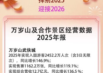 一年狂揽超12亿，三年暴涨15倍，河南出了个「中国迪士尼」