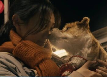 当马年品牌短片只剩「谐音梗」......