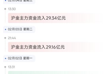 沪金天眼盯盘资金流入流出是什么意思