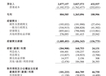 首次全年盈利的禾赛，为何盯上了物理 AI？