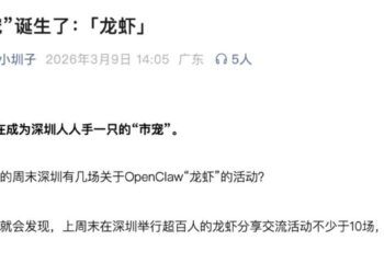 当一只「龙虾」成了新市宠