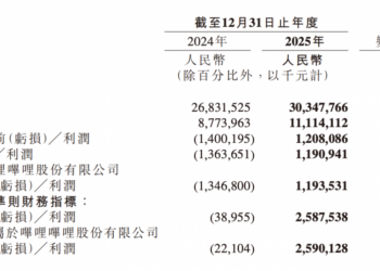 首次全年盈利 B站靠什么打动00后的钱包？