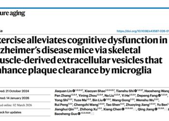 Nat Aging｜南京大学郭保生/蒋青等揭示运动改善AD认知障碍的「肌-脑通讯」新机制