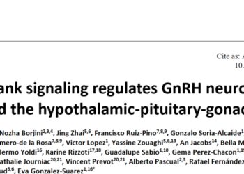 Science|「免疫-生殖」轴新发现!西班牙科学家发现大脑免疫细胞是生育调控的关键