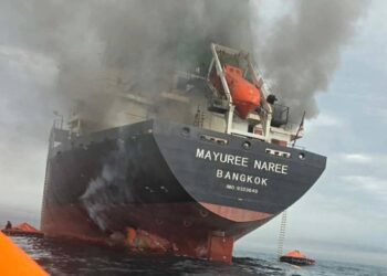 海运数据：3月1日至今仅77艘船通过霍尔木兹海峡