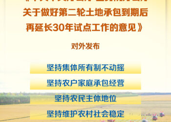 新华社权威快报｜再延长30年！我国全面开展农村承包地二轮到期延包整省试点