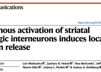 Nat Commun：以色列科学家揭示纹状体内调控5-羟色胺产生「愉悦感」的新神经通路