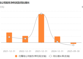 中英科技开启关联收购,业绩困境下的一场家族资产「腾挪」|并购一线