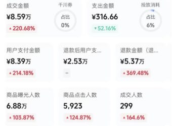 我的「一人公司」，是怎么搞钱的？