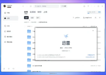 迅雷 v25.0.3.1096 绿色精简版