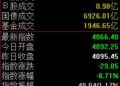 半日下跌0.71%，沪指震荡走低
