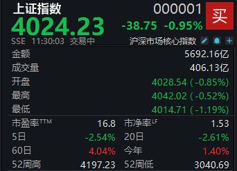 A股震荡下跌，沪指半日跌幅达0.95%