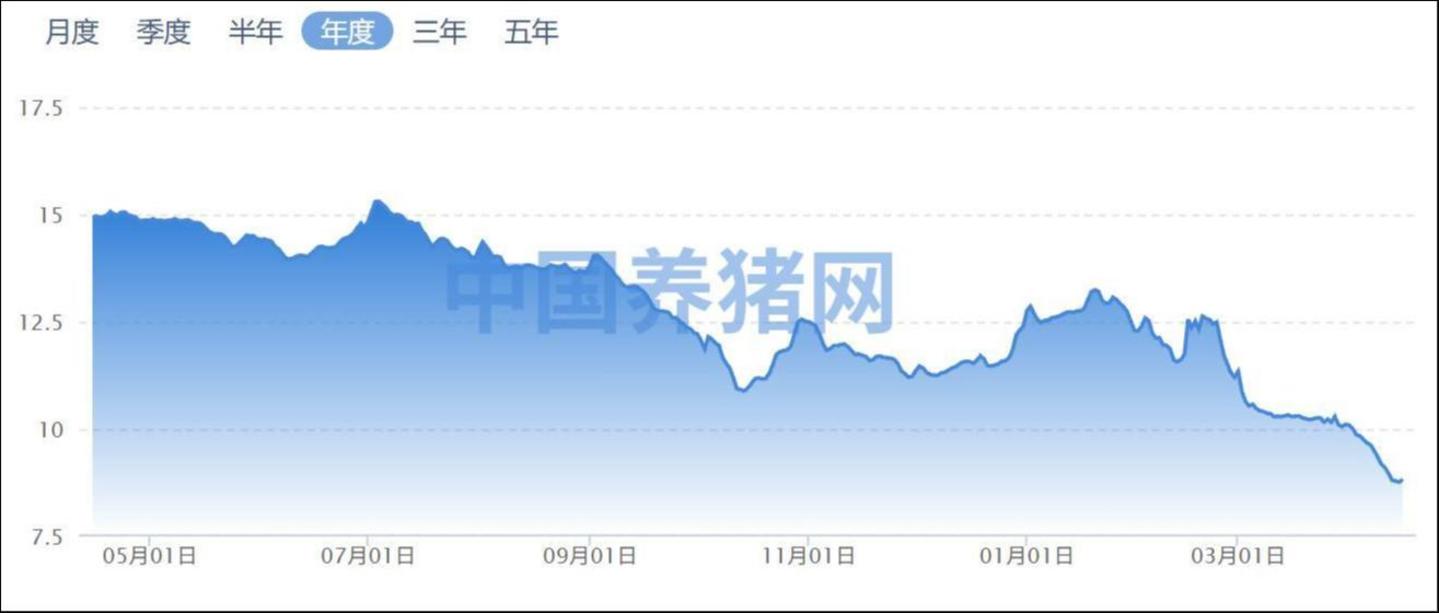 来源:中国养猪网