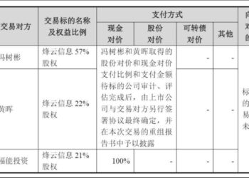 安诺其跨界豪赌：解绑佛山国资，算力转租商成色几何 ｜并购一线