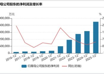 豪掷300亿搞矿，宁德时代必须当「矿王」
