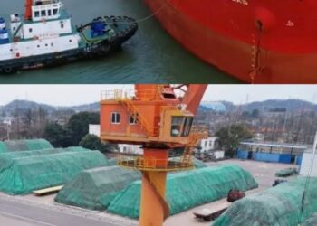 保农资、优服务，全国供销合作社系统全力打好春耕生产主动仗