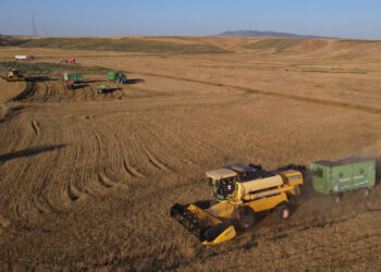 农业成本因伊朗战事上升 土耳其取消部分化肥关税
