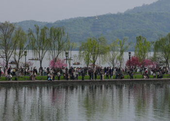 春日经济活力的关键何在