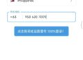 两分钟帮朋友跳过了 smsfeee，重新登上了纸飞机。