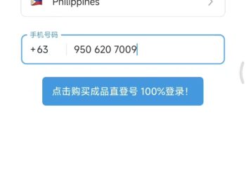 两分钟帮朋友跳过了 smsfeee，重新登上了纸飞机。