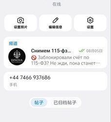 远程工作需用 Telegram 沟通，+86 登录被 SMSfee 拦住？已解决