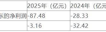 闻泰科技*ST背后：争夺安世半导体控制权之鉴