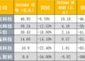 助贷行业加速出清 机构人士：业务量已降至原来6至7成