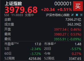 A股震荡反弹，沪指半日涨0.51%