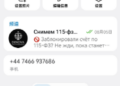 +86 手机号注册纸飞机，smsfee 弹窗逼疯我，最后靠一个编译版客户端破局