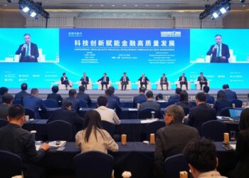 中国农业银行董事长谷澍：不追求大模型风险的绝对消除 建立共生治理体系